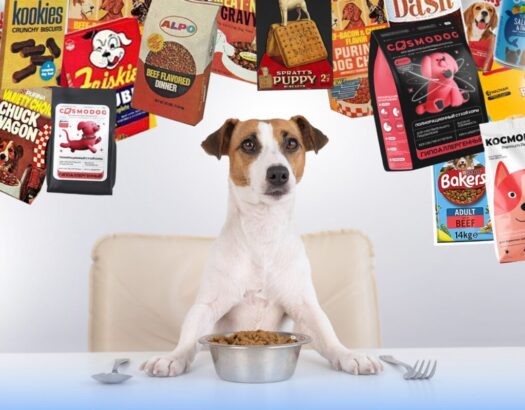 КРАТКАЯ ИСТОРИЯ КОРМОВ: ОТ ХЛЕБНЫХ КОРОК ДО ЛЕЧЕБНЫХ РАЦИОНОВ 466