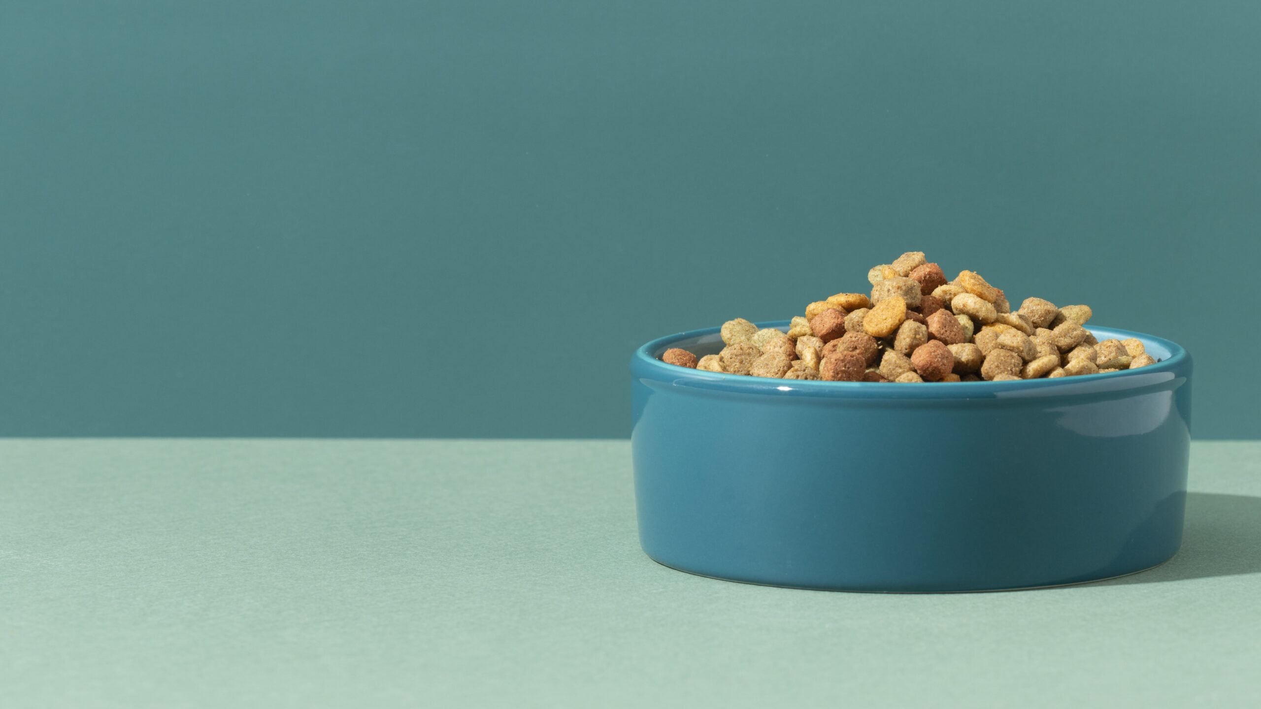 КРАТКАЯ ИСТОРИЯ КОРМОВ: ОТ ХЛЕБНЫХ КОРОК ДО ЛЕЧЕБНЫХ РАЦИОНОВ 545