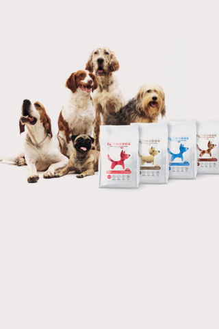 Начались продажи инновационного корма для собак Cosmodog