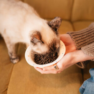 Миска COSMOPET х ПРОСТЫЕ ВЕЩИ, «Конфетти», 450мл