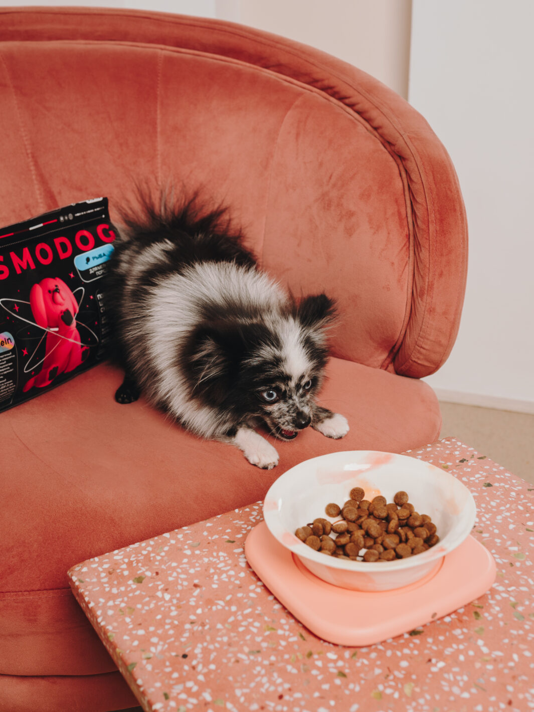 Подставка под миску COSMOPET х MIIOO одинарная, розовая