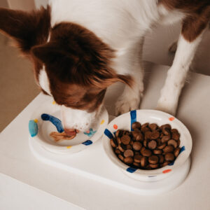 Подставка под миску COSMOPET х MIIOO двойная