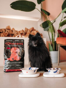 Подставка под миску COSMOPET х MIIOO одинарная, белая