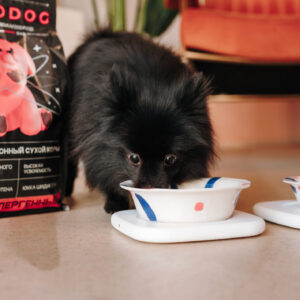 Миска COSMOPET х ПРОСТЫЕ ВЕЩИ, «Серпантин», 450мл