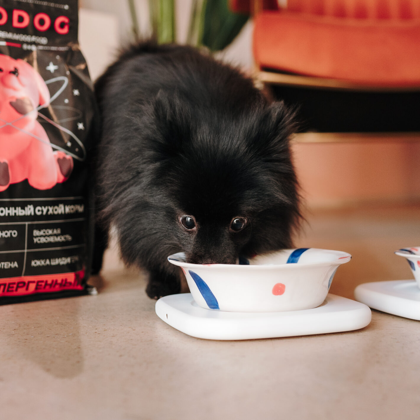 Подставка под миску COSMOPET х MIIOO одинарная, белая