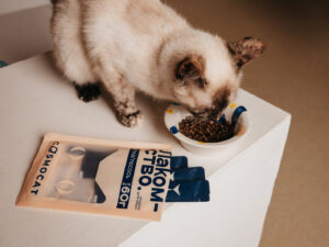 Миска COSMOPET х ПРОСТЫЕ ВЕЩИ, «Салют», 450мл