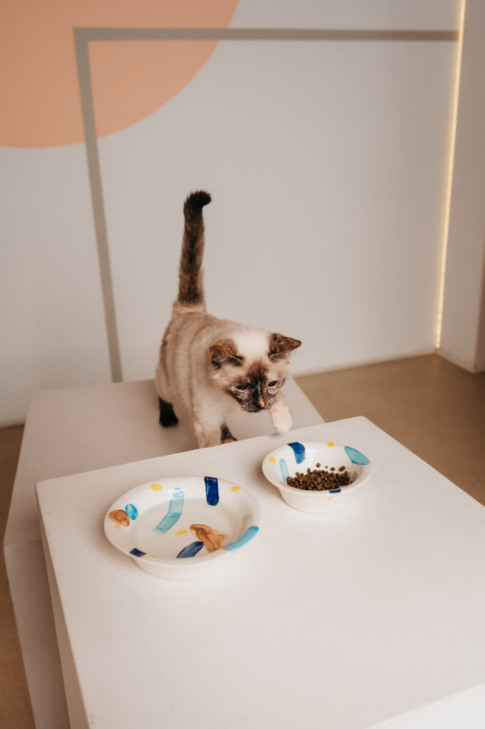 Миска COSMOPET х ПРОСТЫЕ ВЕЩИ, «Салют», 450мл