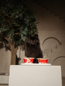 Миска COSMOPET х КРАСНОЛЕСЬЕ, «Волк», 350мл