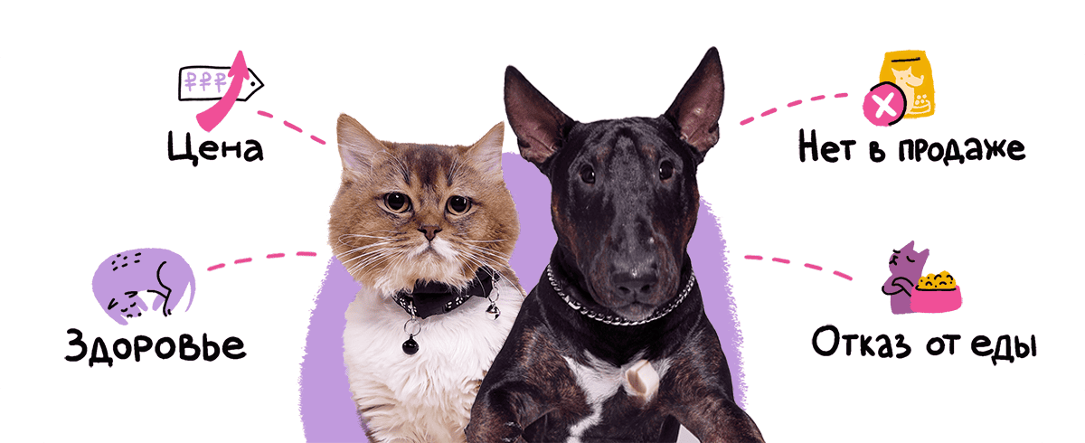 Как не подвести питомца при смене рациона 212