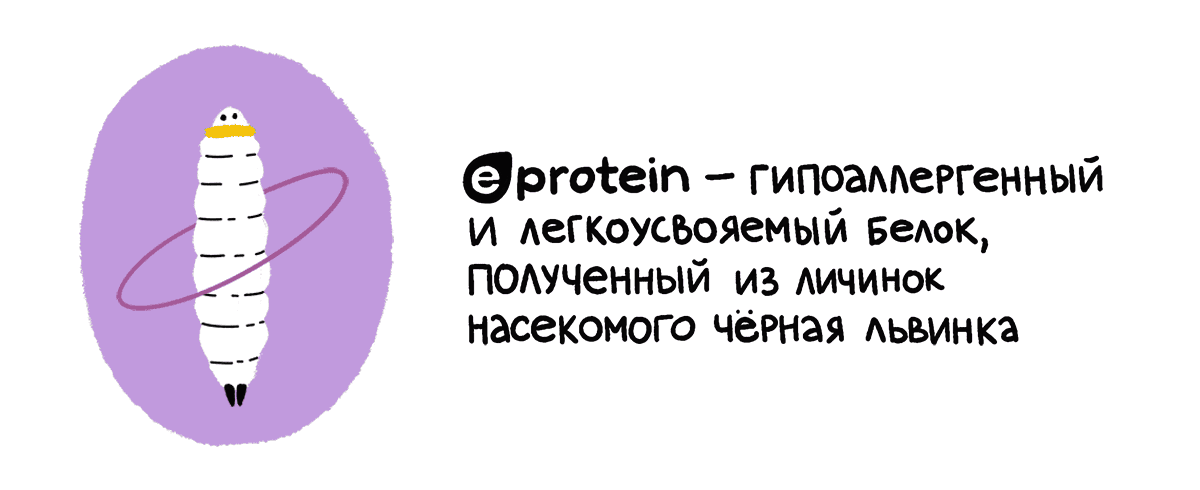 Как не подвести питомца при смене рациона 246