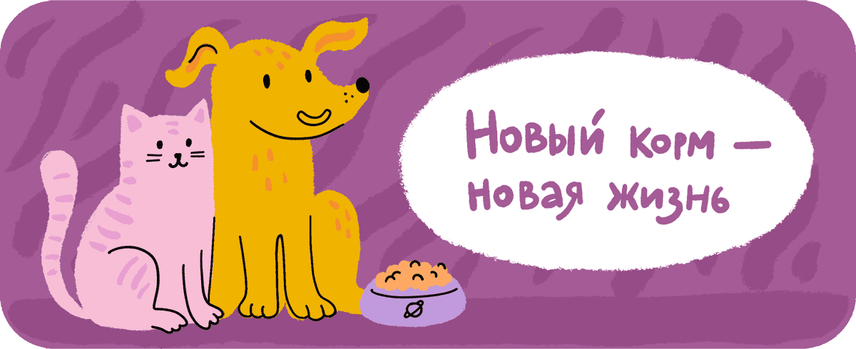 Как не подвести питомца при смене рациона