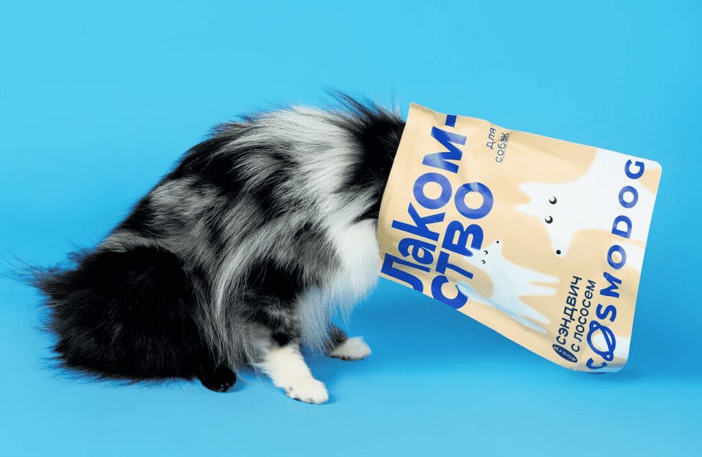 Зоопсихология: как мы научились не дрессировать и начали слушать 965