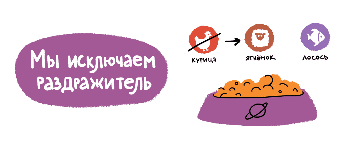 Как не подвести питомца при смене рациона 138