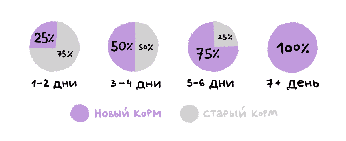 Как не подвести питомца при смене рациона 127