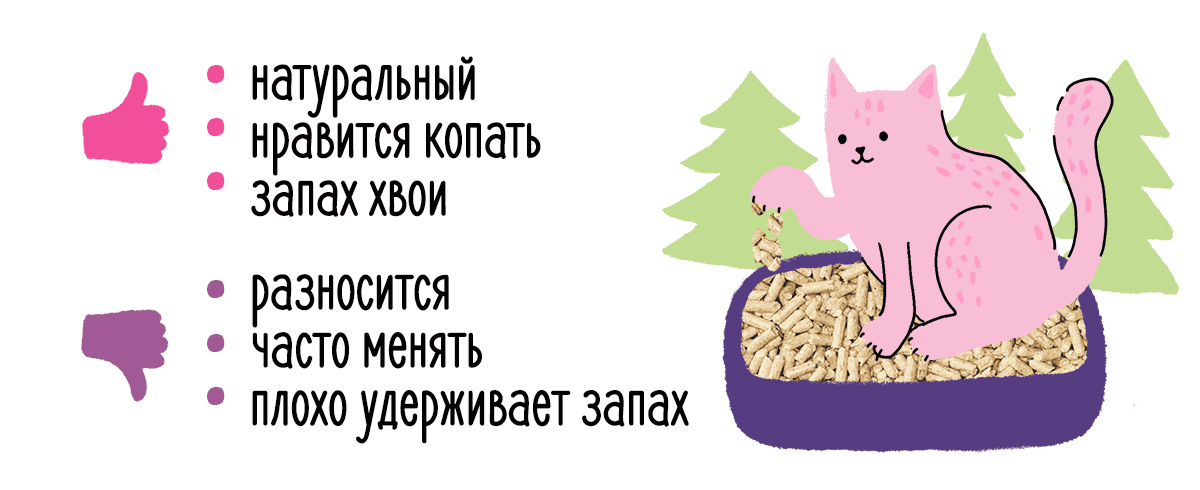 Дела кошачьи: виды наполнителей, их плюсы и минусы 916