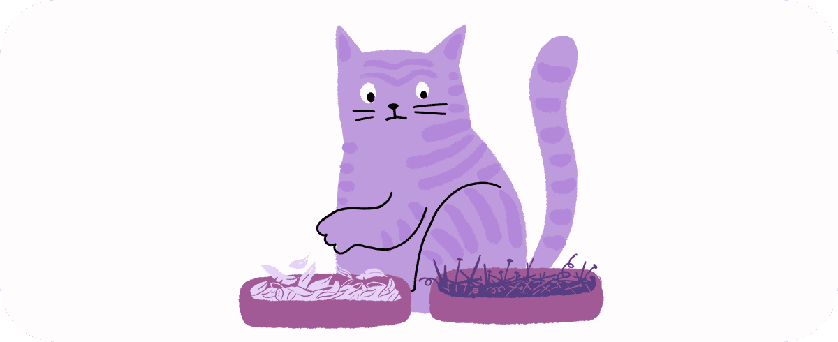 Эмоциональный бунт или осмысленный протест? Почему кошки игнорируют лоток 87