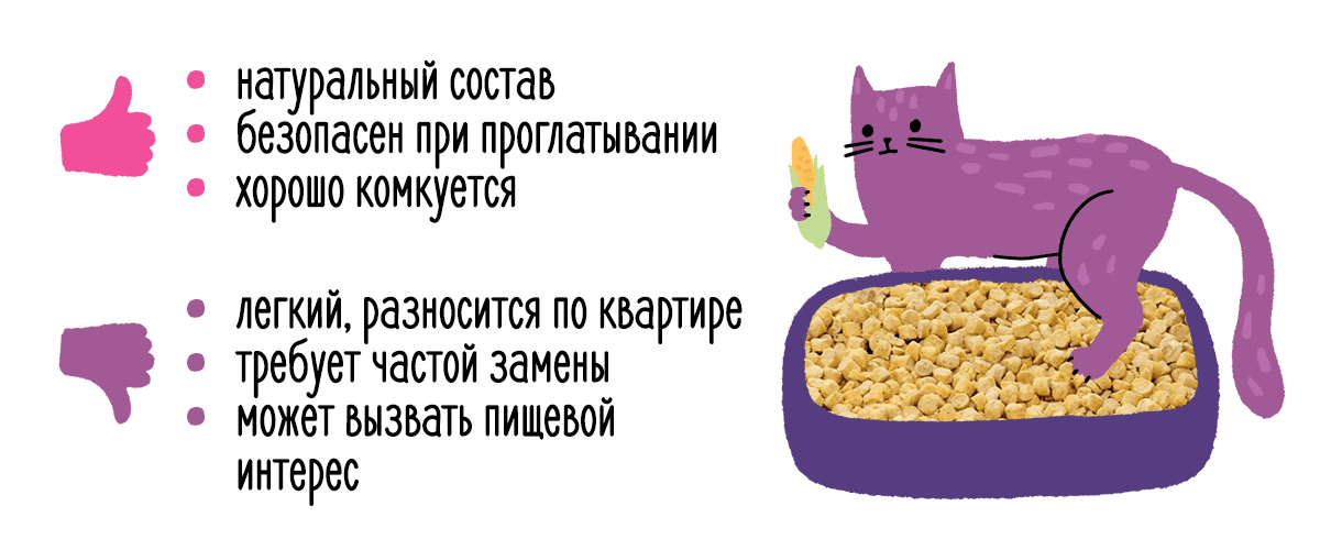 Дела кошачьи: виды наполнителей, их плюсы и минусы 752