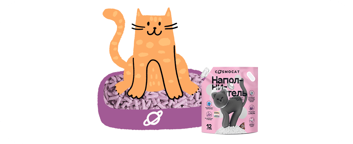 Мягкая посадка: как подружить кошку с новым наполнителем — легко и без нервов 176