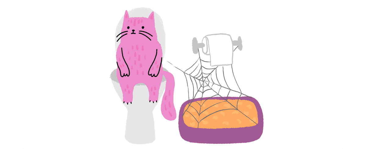 Мягкая посадка: как подружить кошку с новым наполнителем — легко и без нервов 798