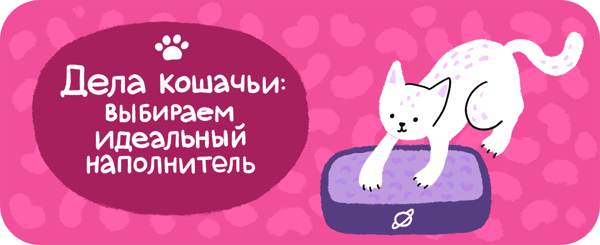 Дела кошачьи: виды наполнителей, их плюсы и минусы