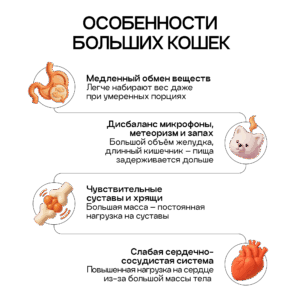 Сухой корм COSMOCAT для мейн-кунов и других крупных кошек, индейка, 5 кг