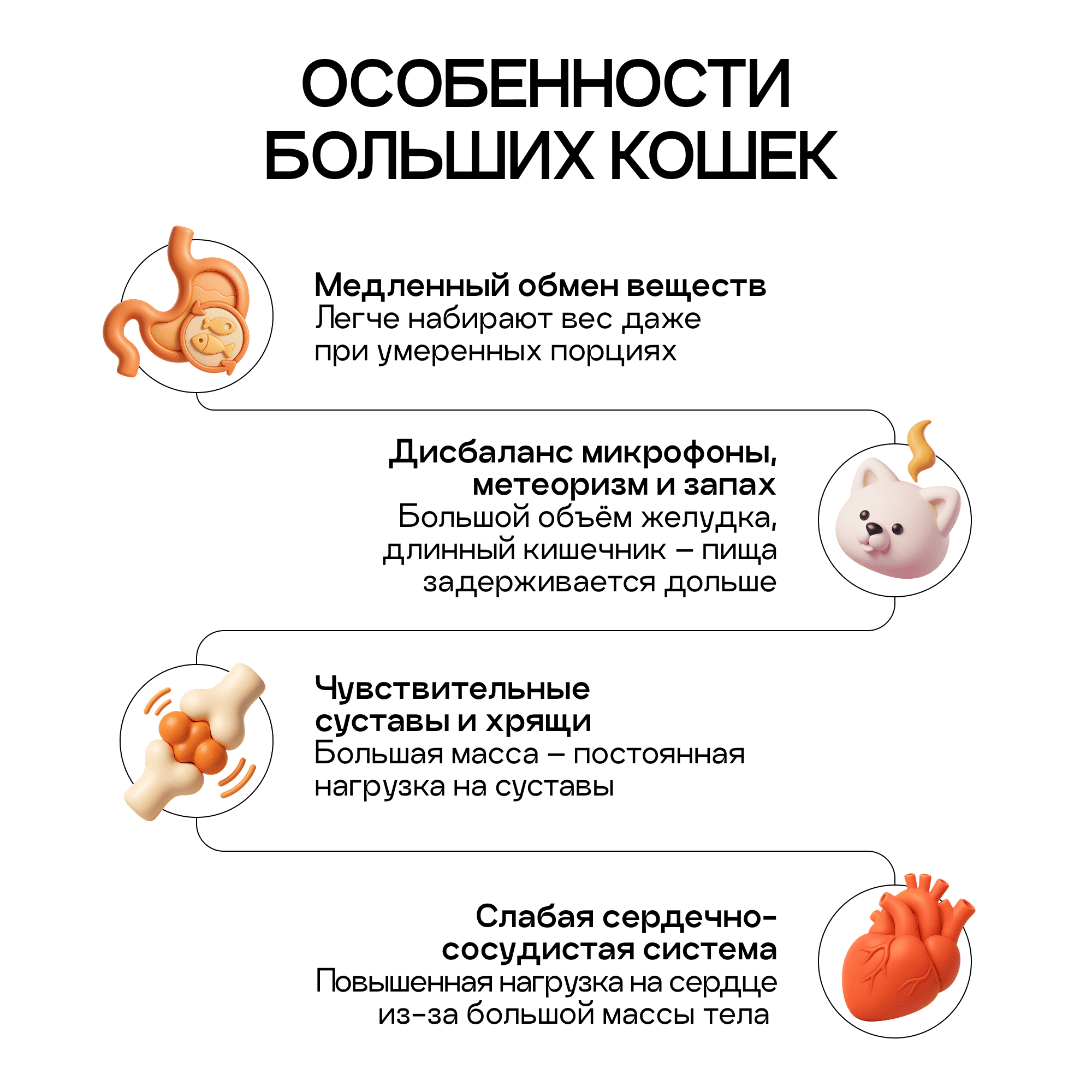 Сухой корм COSMOCAT для мейн-кунов и других крупных кошек, индейка, 5 кг