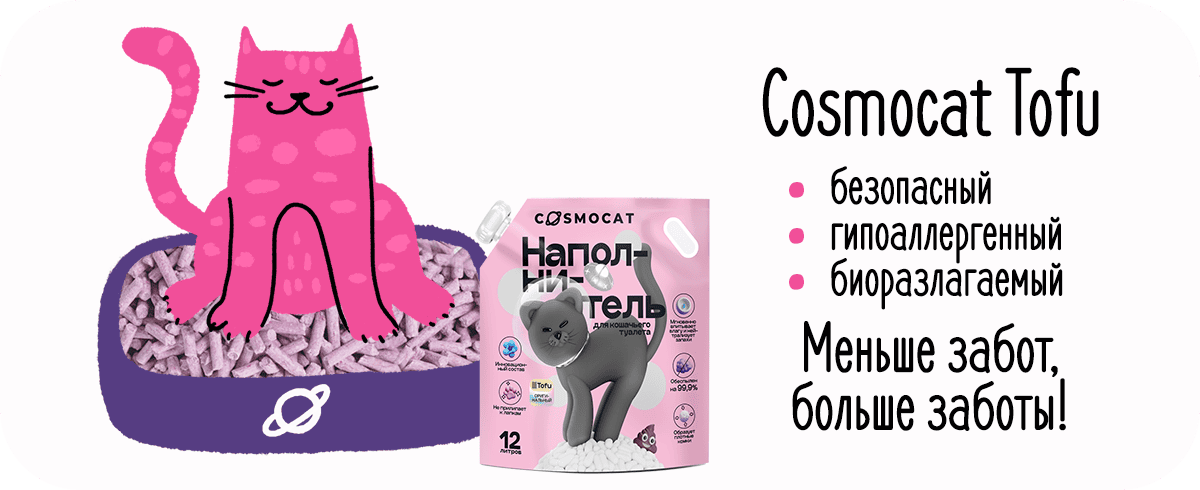 Эмоциональный бунт или осмысленный протест? Почему кошки игнорируют лоток 724