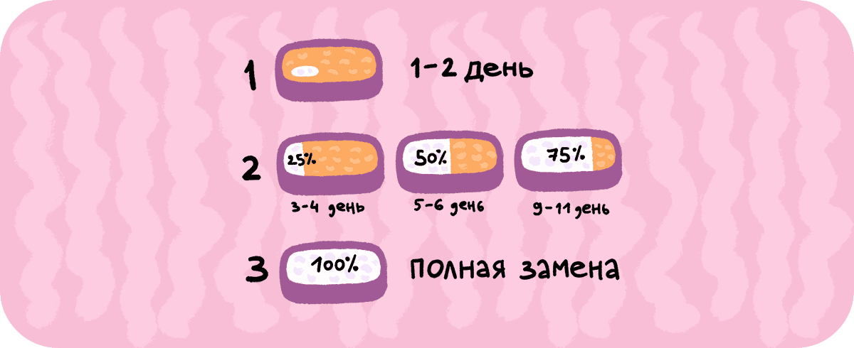 Мягкая посадка: как подружить кошку с новым наполнителем — легко и без нервов 347