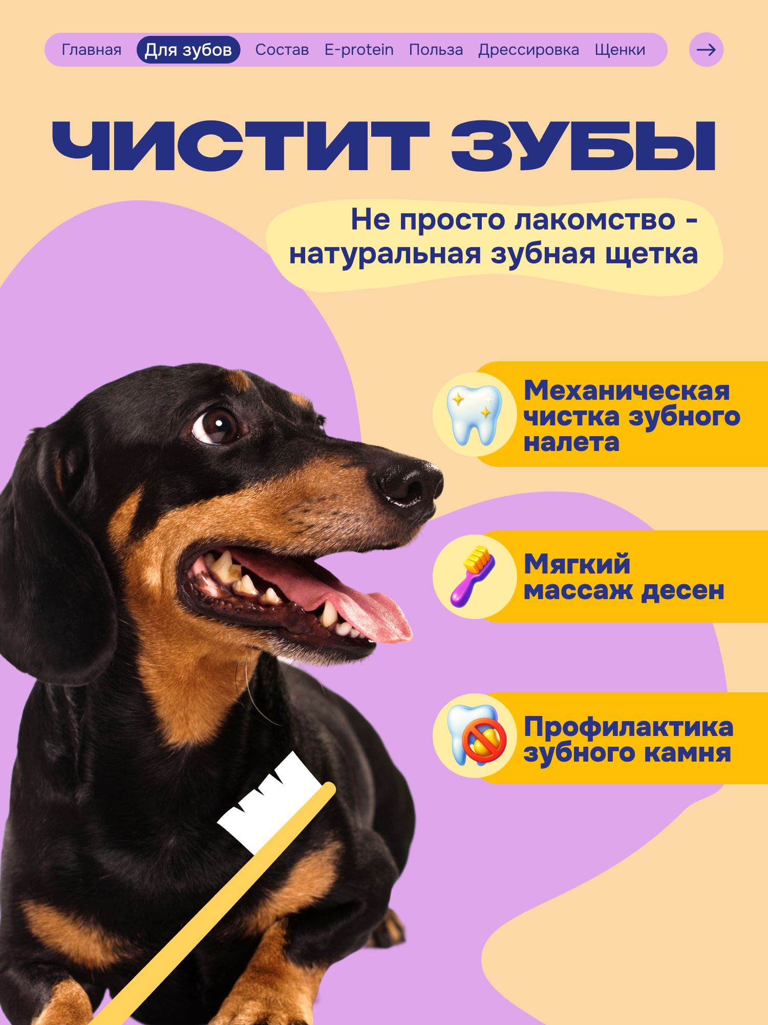 Лакомство для собак «Cosmodog» Говяжья зубная палочка 100г