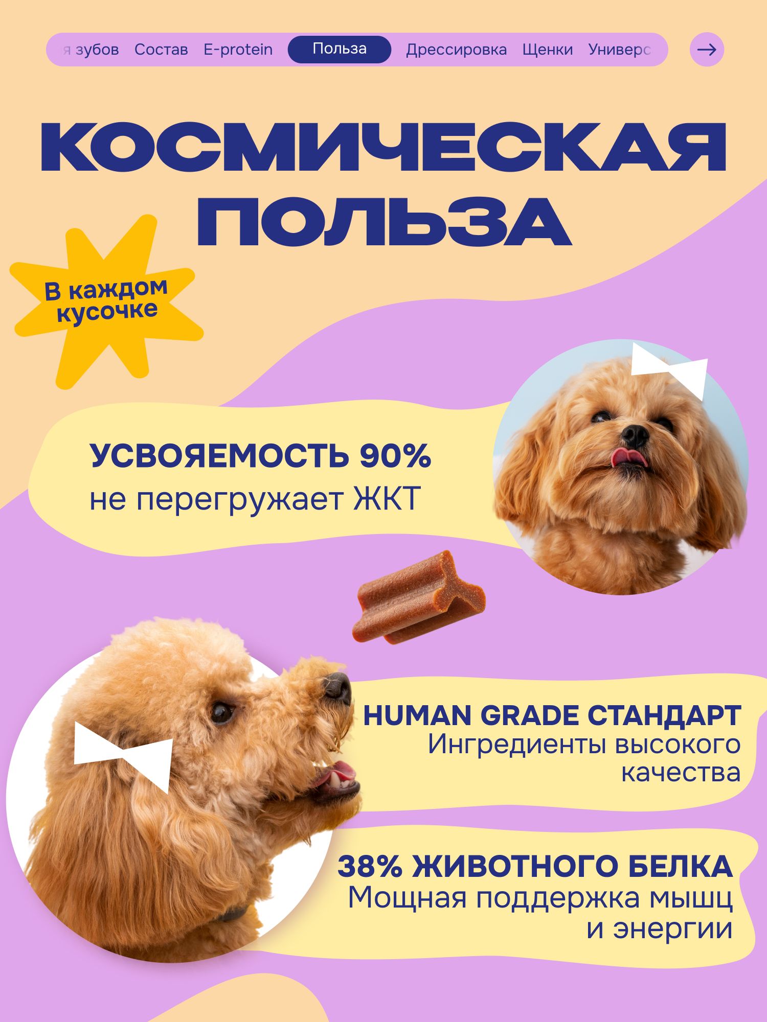 Лакомство для собак «Cosmodog» Говяжья зубная палочка 100г