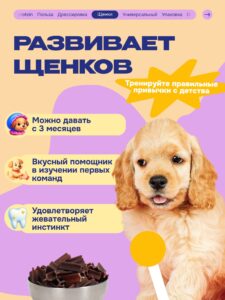 Лакомство для собак «Cosmodog» Говяжья зубная палочка 100г