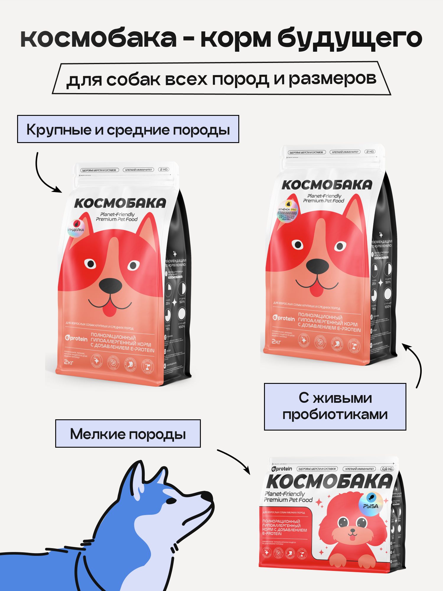 Набор кормов сухих для собак «Космобака» для крупных и средних пород с рыбой 2 кг, 3 пачки
