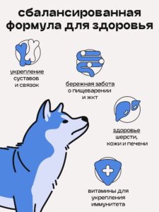 Набор кормов сухих для собак «Космобака» для крупных и средних пород с рыбой 2 кг, 5 пачек