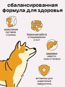 Набор кормов сухих для собак «Космобака» для крупных и средних пород с ягненком 2 кг, 3 пачки