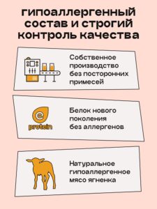 Набор кормов сухих для собак «Космобака» для крупных и средних пород с ягненком 2 кг, 5 пачки