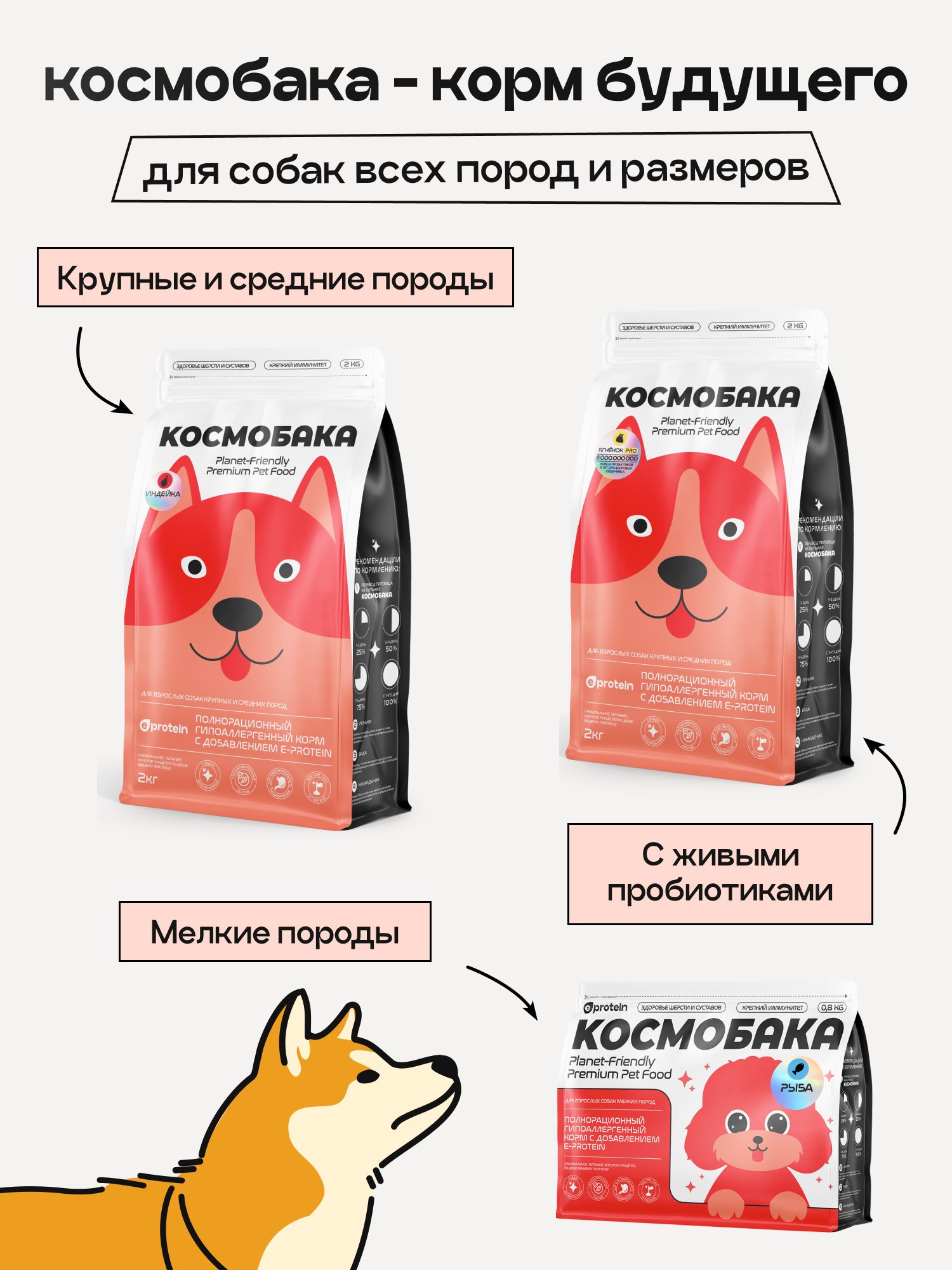 Набор кормов сухих для собак «Космобака» для крупных и средних пород с ягненком 2 кг, 5 пачки