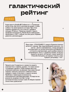 Набор кормов сухих для собак «Космобака» для крупных и средних пород с ягненком 2 кг, 6 пачек