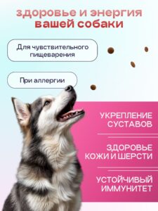 Набор кормов сухих для собак «Космобака» для крупных и средних пород с ягненком с пробиотиком 2 кг,