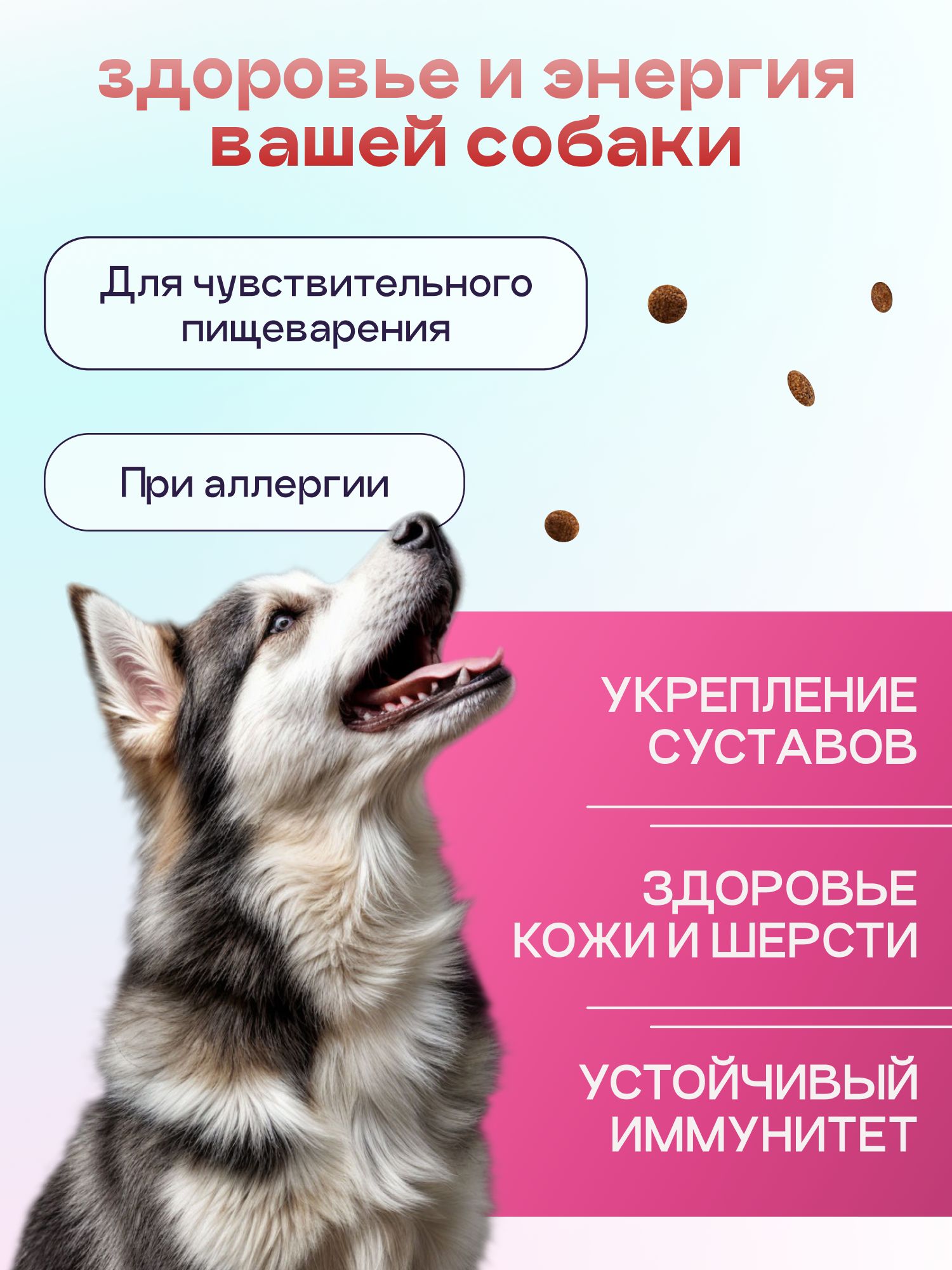 Набор кормов сухих для собак «Космобака» для крупных и средних пород с ягненком с пробиотиком 2 кг,