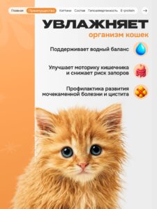 Лакомство для кошек «Cosmocat» Крем из лосося 180г