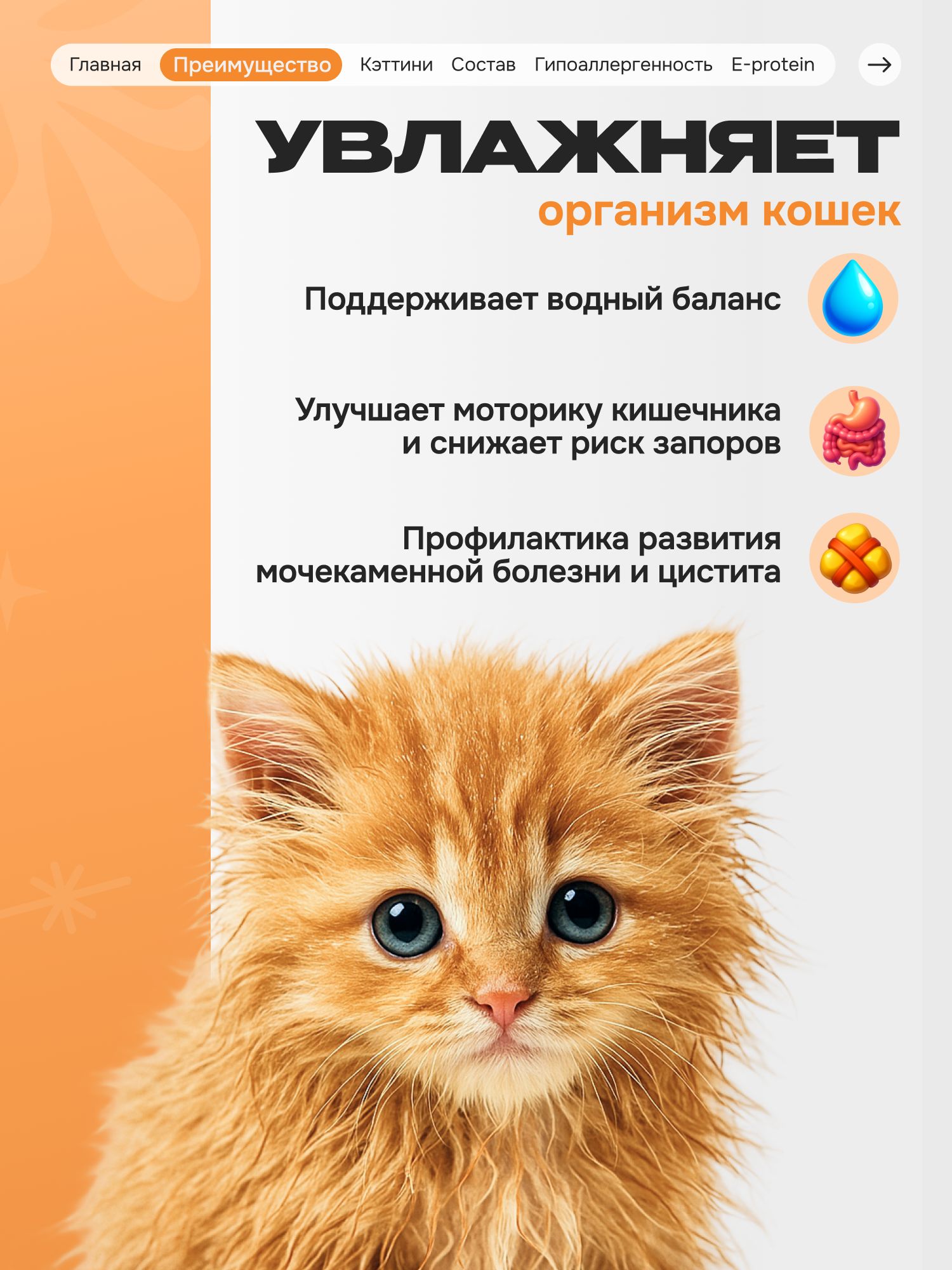 Лакомство для кошек «Cosmocat» Крем из лосося 180г