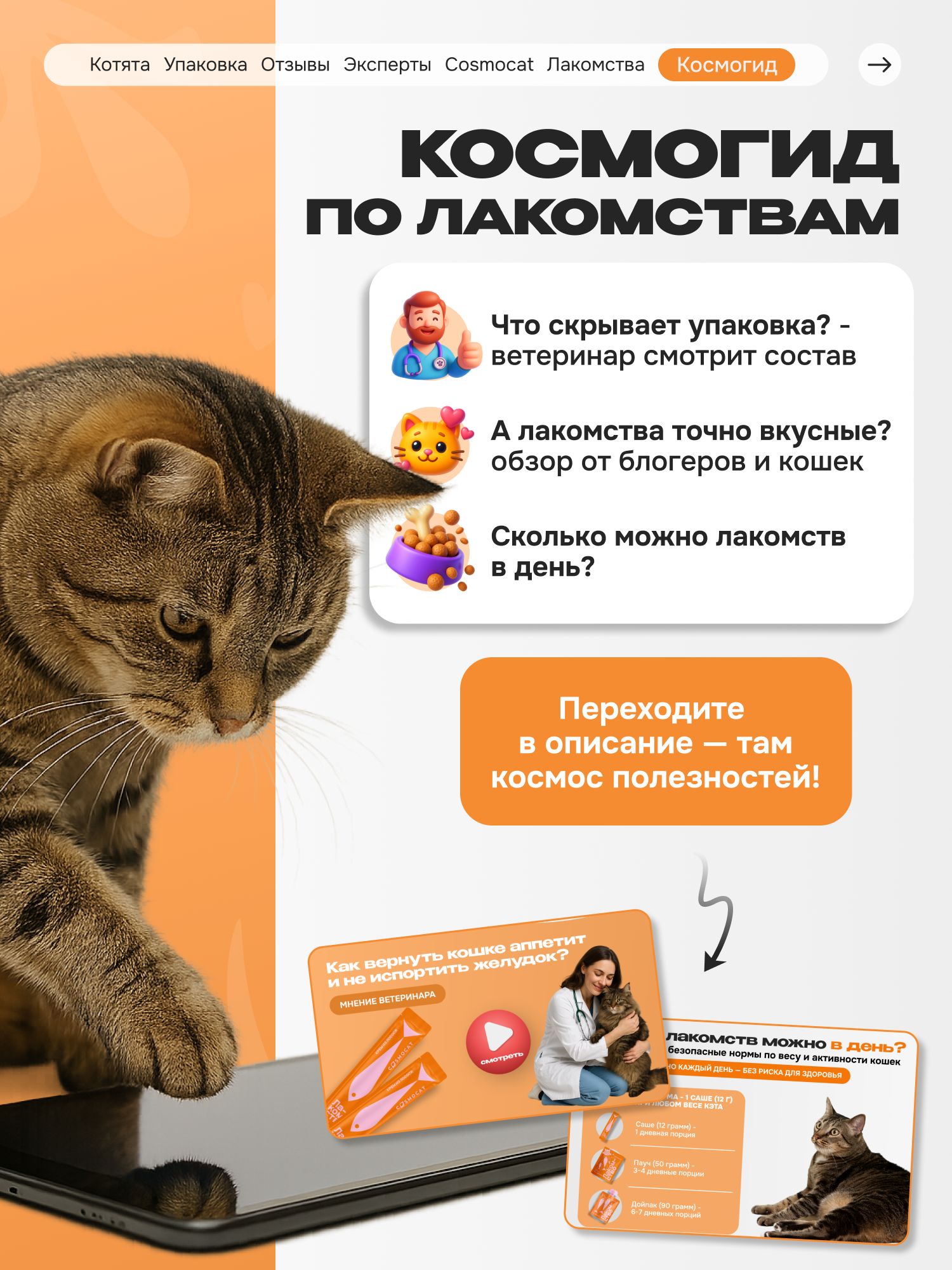 Лакомство для кошек «Cosmocat» Крем из лосося 180г