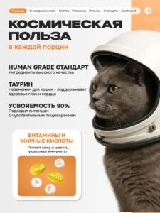 Лакомство для кошек «Cosmocat» Крем из лосося 180г