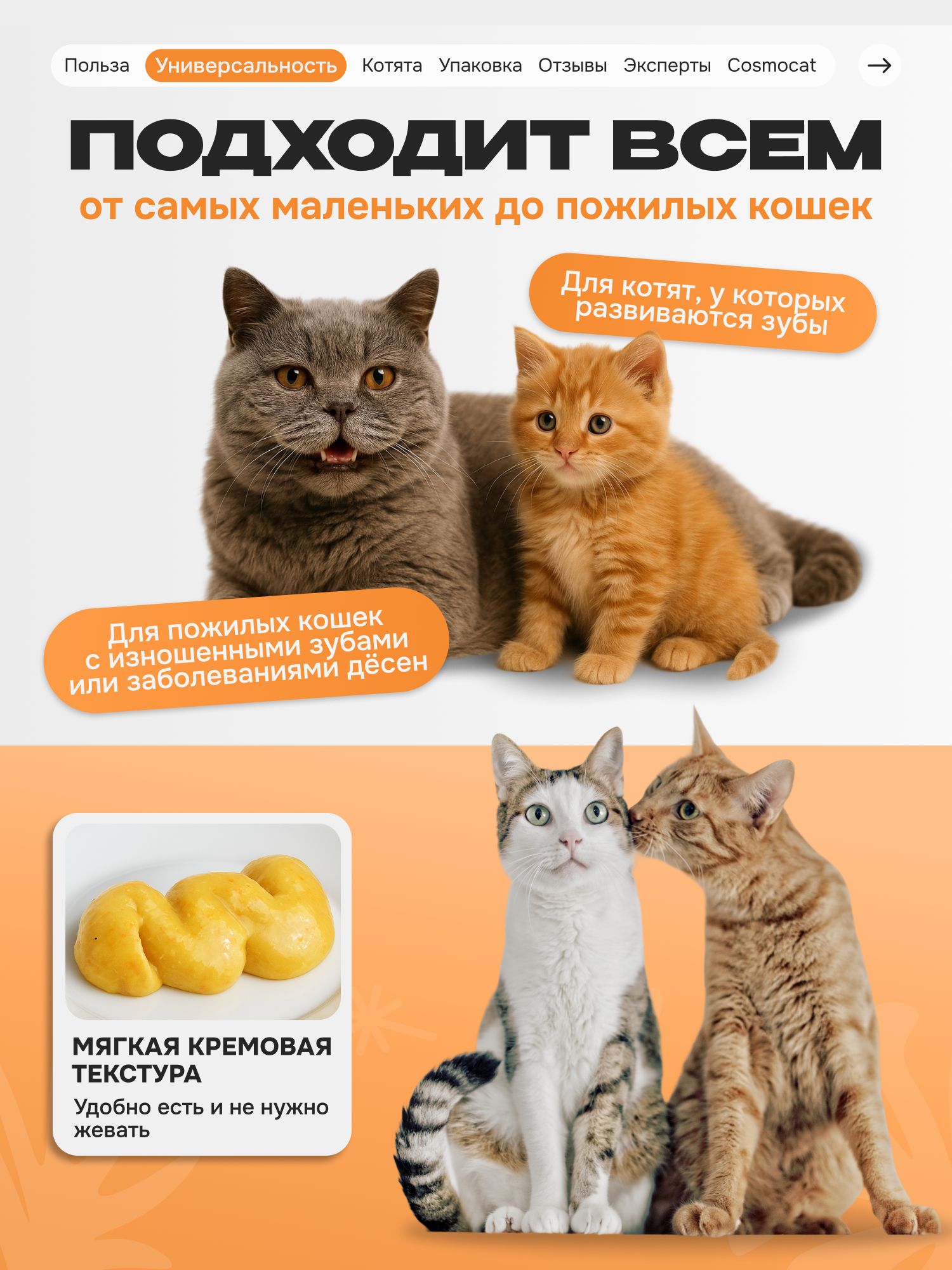 Лакомство для кошек «Cosmocat» Крем из лосося 180г