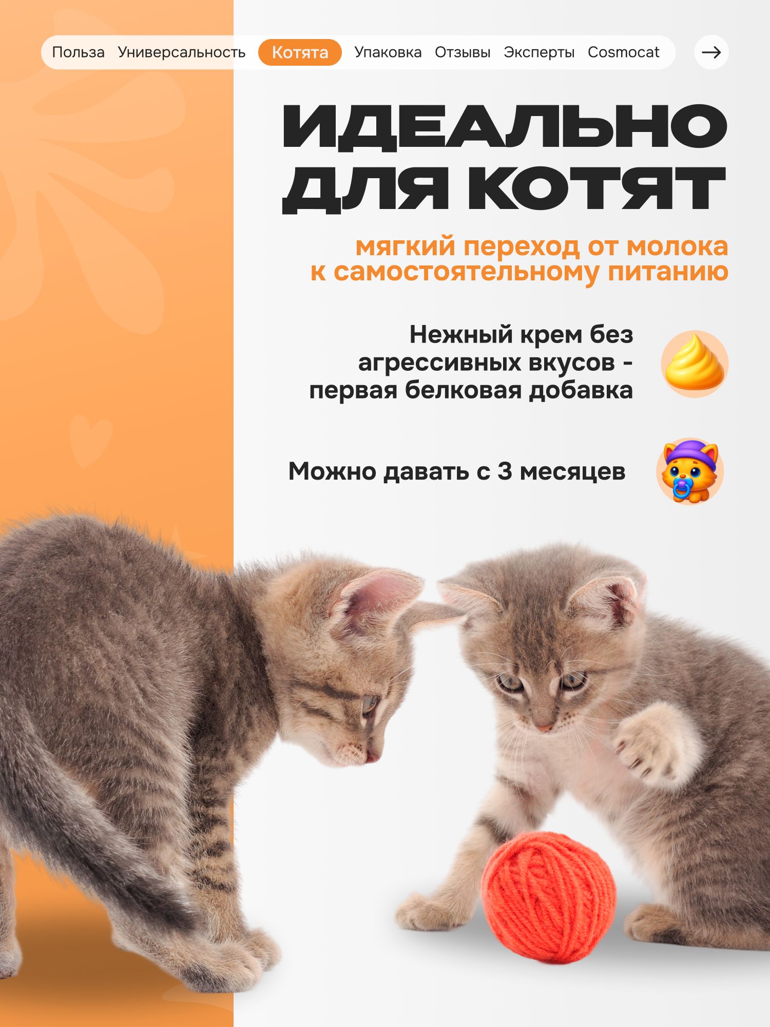 Лакомство для кошек «Cosmocat» Крем из лосося 180г