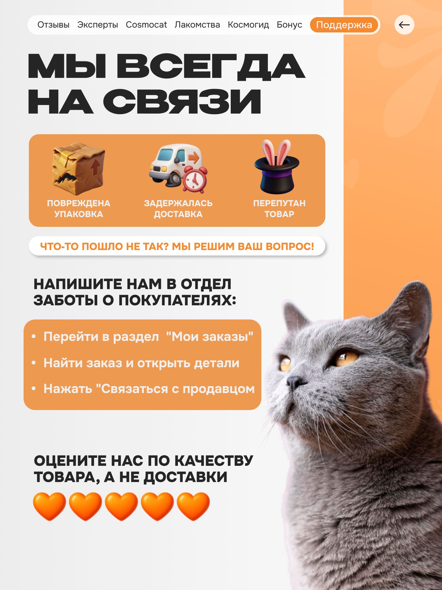 Лакомство для кошек «Cosmocat» Крем из лосося 180г