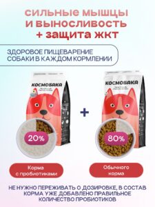 Набор кормов сухих для собак «Космобака» для крупных и средних пород с ягненком 15 кг + с пробиотико