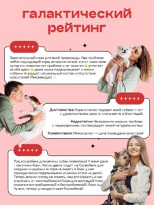 Набор кормов сухих для собак «Космобака» для мелких пород с ягненком 2 кг, 2 пачки