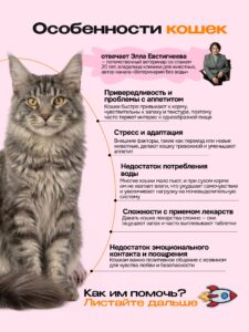 Лакомство для кошек «Cosmocat» Крем из лосося 350г