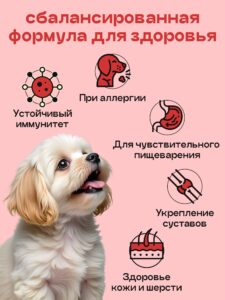 Набор кормов сухих для собак «Космобака» для мелких пород с ягненком 2 кг, 3 пачки